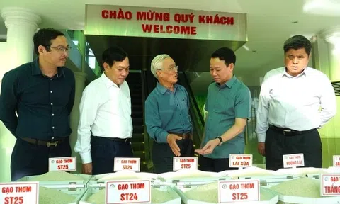 Xây dựng chiến lược nâng cao chất lượng, xác lập vị thế và bảo vệ uy tín của gạo Việt trên 10Lc88 Giải Trí Thể Thao quốc tế