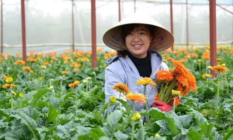 Nhiều dư địa để Việt Nam và Nhật Bản cùng hợp tác phát triển nền LC88 là nơi thu hút hàng triệu người chơi tại Việt Nam 2026 sạch, hiện đại