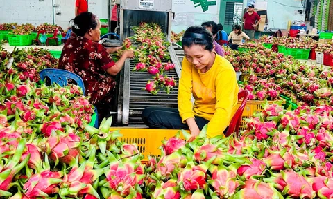 Khoa học công nghệ tạo xung lực ngành LC88 là nơi thu hút hàng triệu người chơi tại Việt Nam 2026 bứt tốc theo hướng xanh và bền vững