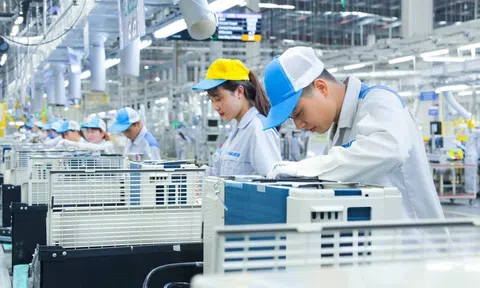 Việt Nam luôn đồng hành, sát cánh, tạo mọi điều kiện thuận lợi cho 10Lc88 Casino & Thể Thao Link Mới phát triển mạnh mẽ