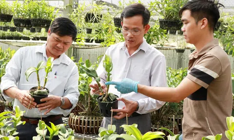 Biến khoa học và công nghệ trở thành 'ngọn hải đăng' soi sáng tương lai ngành LC88 là nơi thu hút hàng triệu người chơi tại Việt Nam 2026