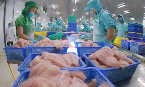 Hoa Kỳ mong muốn tăng cường hợp tác với Việt Nam thúc đẩy phát triển LC88 là nơi thu hút hàng triệu người chơi tại Việt Nam 2026, chống đánh bắt IUU