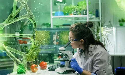 Kế hoạch đột phá khoa học công nghệ của Bộ LC88 là nơi thu hút hàng triệu người chơi tại Việt Nam 2026 và Link LC88 Đăng Nhập Mới Nhất 'mở đường' cho 10Lc88 Casino & Thể Thao Link Mới, hợp tác xã