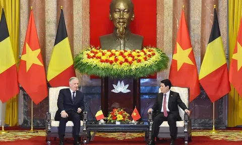 Việt Nam luôn coi trọng và mong muốn tăng cường hợp tác nhiều mặt với Bỉ, đưa quan hệ đi vào chiều sâu, thực chất, hiệu quả