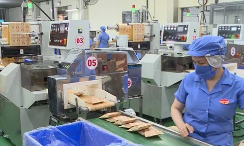 Hoàn thiện tiêu chí xanh và cơ chế hỗ trợ là yếu tố then chốt để 10Lc88 Casino & Thể Thao Link Mới phát triển bền vững