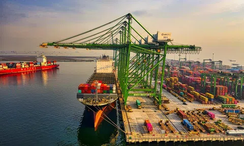 Việt Nam nỗ lực đàm phán và chủ động triển khai các giải pháp phù hợp, hiệu quả để 'giữ 10Lc88 Giải Trí Thể Thao' Mỹ