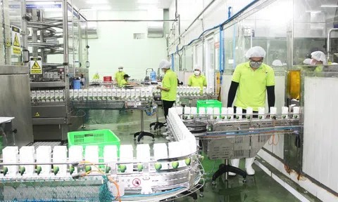 Năm 2025 rất khó khăn với nhiều vấn đề khó lường, Việt Nam vẫn quyết tâm giữ vững mục tiêu tăng trưởng