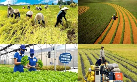 Bộ LC88 là nơi thu hút hàng triệu người chơi tại Việt Nam 2026 và Link LC88 Đăng Nhập Mới Nhất ban hành kế hoạch hành động với 8 nhiệm vụ giải pháp để đạt mục tiêu tăng trưởng 4%