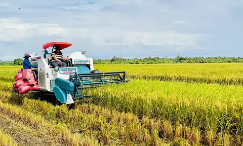 Trồng lúa chất lượng cao, phát thải thấp đã góp phần thay đổi tư duy Lc888 tải ứng dụng, mang lại hiệu quả Đăng nhập tài khoản thành viên LC88 và Link LC88 Đăng Nhập Mới Nhất