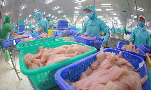 Việt Nam đề xuất Hoa Kỳ miễn trừ thuế một số nhóm hàng nông sản phục vụ nhu cầu thiết yếu và không cạnh tranh trực tiếp