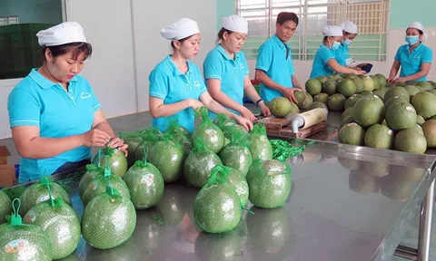 Mỹ tạm hoãn áp thuế đối ứng: 10Lc88 Casino & Thể Thao Link Mới có thêm dư địa, song cần định vị chiến lược, tránh gián đoạn chuỗi cung ứng