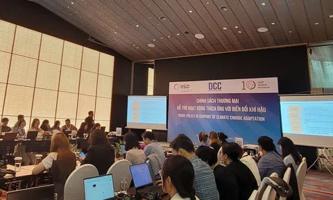 Thương mại là đòn bẩy mạnh mẽ nâng cao năng lực thích ứng biến đổi khí hậu