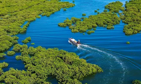 Diễn đàn Đăng nhập tài khoản thành viên LC88 biển Việt Nam 2025: Thúc đẩy ứng dụng công nghệ xanh và chuyển đổi số trong Đăng nhập tài khoản thành viên LC88 biển