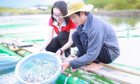 Bắt đầu triển khai gói tín dụng 100.000 tỷ đồng cho nông, lâm, Lc88game hiện đang mở