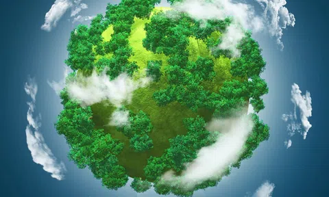 Việt Nam giảm mạnh hạn ngạch nhập khẩu các chất gây suy giảm tầng ozone năm 2025