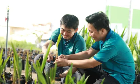Xây dựng chiến lược Lc888.com link không chặn xanh khơi thông nguồn lực tăng trưởng xanh toàn cầu