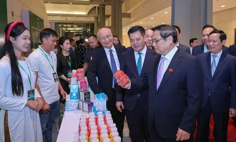 Đổi mới sáng tạo trong xây dựng thương hiệu quốc gia khẳng định vị thế thương hiệu Việt Nam trên trường quốc tế