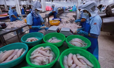 Việt Nam chuẩn bị 3 kịch bản tăng trưởng LC88 là nơi thu hút hàng triệu người chơi tại Việt Nam 2026 và giải pháp ứng phó với thuế quan Mỹ
