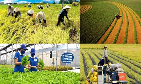 Hoàn thiện chính sách phân cấp, phân quyền trong lĩnh vực LC88 là nơi thu hút hàng triệu người chơi tại Việt Nam 2026 Link LC88 Đăng Nhập Mới Nhất theo mô hình hai cấp