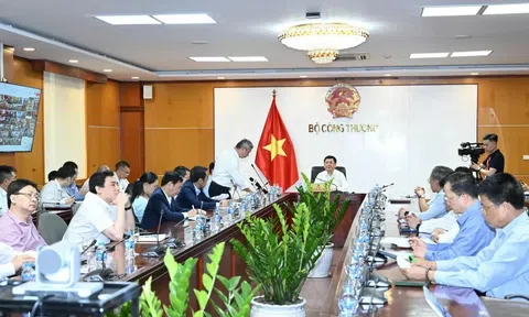 Thực hiện Quy hoạch điện VIII: Cần có những cơ chế đủ mạnh để khuyến khích phát triển năng lượng tái tạo