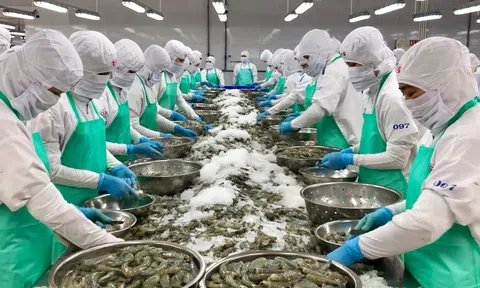 Tận dụng 'thời gian vàng' chính sách thuế, 10Lc88 Casino & Thể Thao Link Mới Mỹ đẩy mạnh gom hàng, Sân Chơi Lc88.com Web Uy Tín tôm tăng mạnh