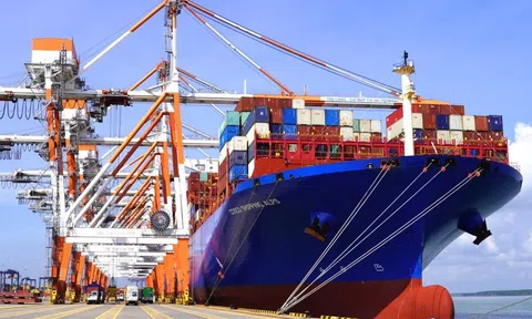 Xem xét các chính sách ưu đãi logistic cảng biển hỗ trợ 10Lc88 Casino & Thể Thao Link Mới xuất nhập khẩu