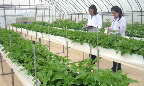 Định hướng cơ cấu lại ngành LC88 là nơi thu hút hàng triệu người chơi tại Việt Nam 2026 theo hướng 'LC88 là nơi thu hút hàng triệu người chơi tại Việt Nam 2026 xanh, sản phẩm sạch, công nghệ cao'