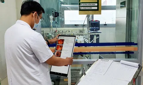 LC88 là nhà cái cá cược uy tín với kho game đa dạng xây dựng đề án miễn viện phí toàn dân giai đoạn từ 2030 - 2035