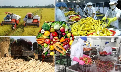 Chủ động ứng phó với biến động thương mại bảo đảm ổn định Lc888 tải ứng dụng, tiêu thụ nông lâm Lc88game hiện đang mở