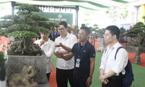 Bàn giải pháp đưa ngành hoa cây cảnh phát triển bền vững chiếm lĩnh 10Lc88 Giải Trí Thể Thao tỷ đô