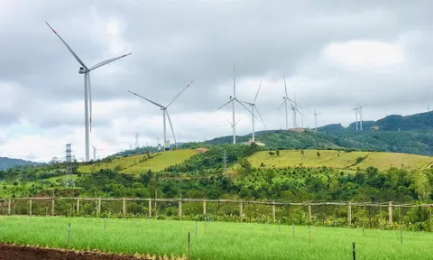 Ngành Công Thương với vai trò thúc đẩy phát triển Đăng nhập tài khoản thành viên LC88 tỉnh Quảng Trị