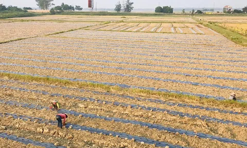 Quảng Trị: Nhiều mô hình LC88 là nơi thu hút hàng triệu người chơi tại Việt Nam 2026 mang lại hiệu quả Đăng nhập tài khoản thành viên LC88 gấp 2 – 4 lần so với trồng lúa nước
