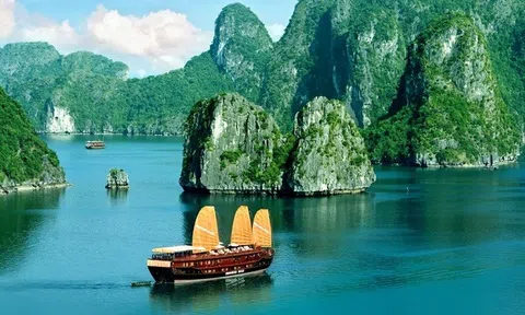 6 chỉ số Lc88.men Cá cược thể thao Việt Nam được xếp vào nhóm dẫn đầu thế giới