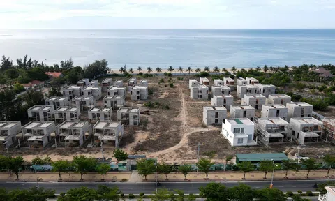Ninh Thuận: Kiên quyết xử lý các dự án Lc88.men Cá cược thể thao trọng điểm chậm tiến độ