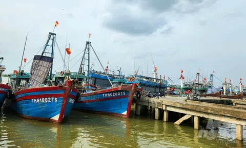 Thanh Hóa cùng cả nước gỡ “thẻ vàng” IUU - Bài 1: Quyết tâm cao, nỗ lực lớn tạo sự chuyển biến trong ngư dân