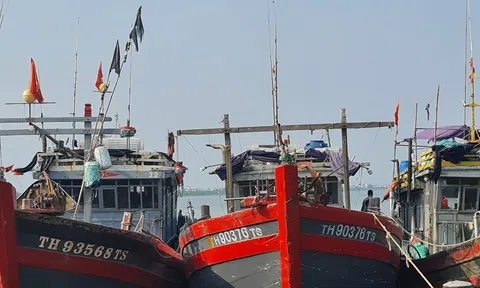 Thanh Hoá chung tay cùng cả nước gỡ “thẻ vàng IUU- Bài cuối: “Rào cản” pháp lý tái tạo sự đa dạng của Link LC88 Đăng Nhập Mới Nhất biển