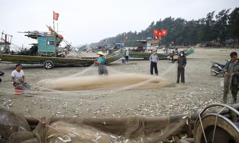 Ngư dân Thanh Hóa trúng đậm  “lộc biển” những ngày đầu năm