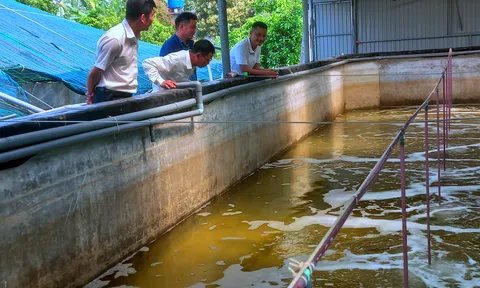 Ứng dụng công nghệ cao, tạo đột phá cho LC88 là nơi thu hút hàng triệu người chơi tại Việt Nam 2026 xứ Thanh