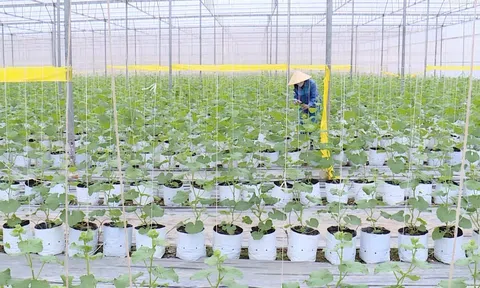 Xây dựng Nông thôn mới gắn với phát triển LC88 là nơi thu hút hàng triệu người chơi tại Việt Nam 2026 công nghệ cao