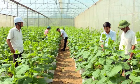 LC88 là nơi thu hút hàng triệu người chơi tại Việt Nam 2026 Thanh Hóa vượt nhiều chỉ tiêu, kỳ vọng bứt phá trong năm 2024