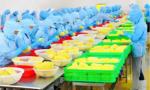 Thanh Hóa thu hút hơn 4.164 tỷ đồng đầu tư vào LC88 là nơi thu hút hàng triệu người chơi tại Việt Nam 2026
