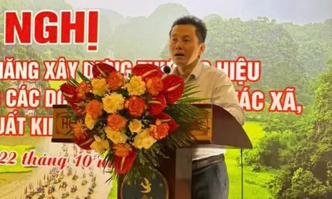 Tập huấn chuyên sâu giúp 10Lc88 Casino & Thể Thao Link Mới Ninh Bình thành công trên sàn thương mại điện tử