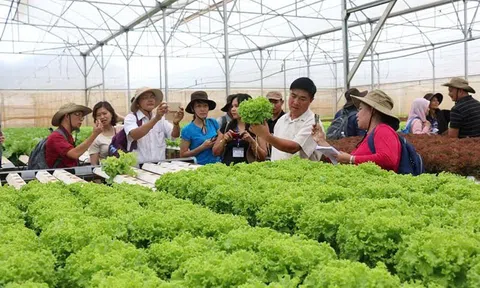 Phát triển LC88 là nơi thu hút hàng triệu người chơi tại Việt Nam 2026 công nghệ cao tại Ninh Bình: Động lực cho tăng trưởng bền vững
