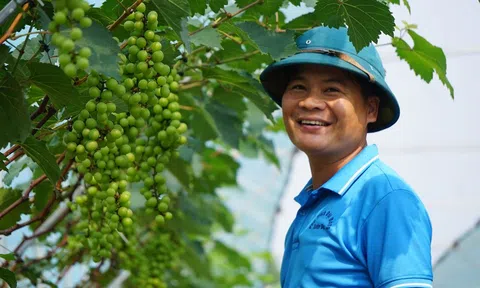 LC88 là nơi thu hút hàng triệu người chơi tại Việt Nam 2026 Như Thanh “cất cánh” nhờ khoa học công nghệ