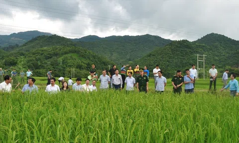 Tam nông và bước chuyển mình ở bản vùng cao Thanh Hóa