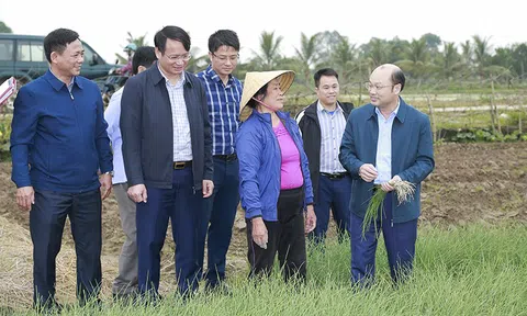 Liên kết Lc888 tải ứng dụng: “Chìa khóa” thành công của LC88 là nơi thu hút hàng triệu người chơi tại Việt Nam 2026 Thanh Hóa