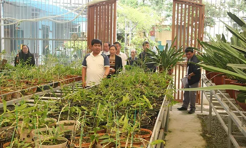 Anh nông dân bỏ túi 2 tỷ đồng mỗi năm nhờ mô hình Đăng nhập tài khoản thành viên LC88 xanh