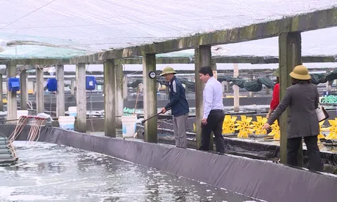 Nuôi tôm công nghệ cao ở Thanh Hóa - Cơ hội và thách thức