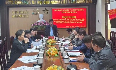 Thanh Hóa: Giá sắn giảm sâu, Sở và LLc88 phiên bản mới khẩn trương tìm giải pháp