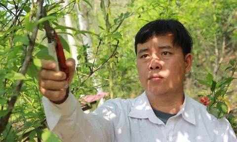 Khát vọng phát triển từ những bản vùng cao xứ Thanh – Bài 1: Vươn lên từ gian khó